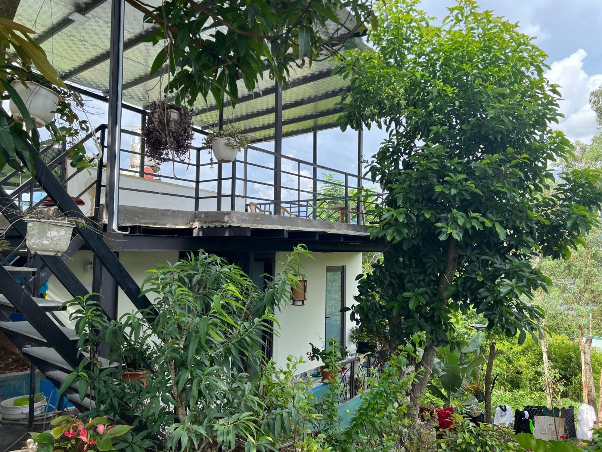 Gio Homestay - بلايكو المظهر الخارجي الصورة